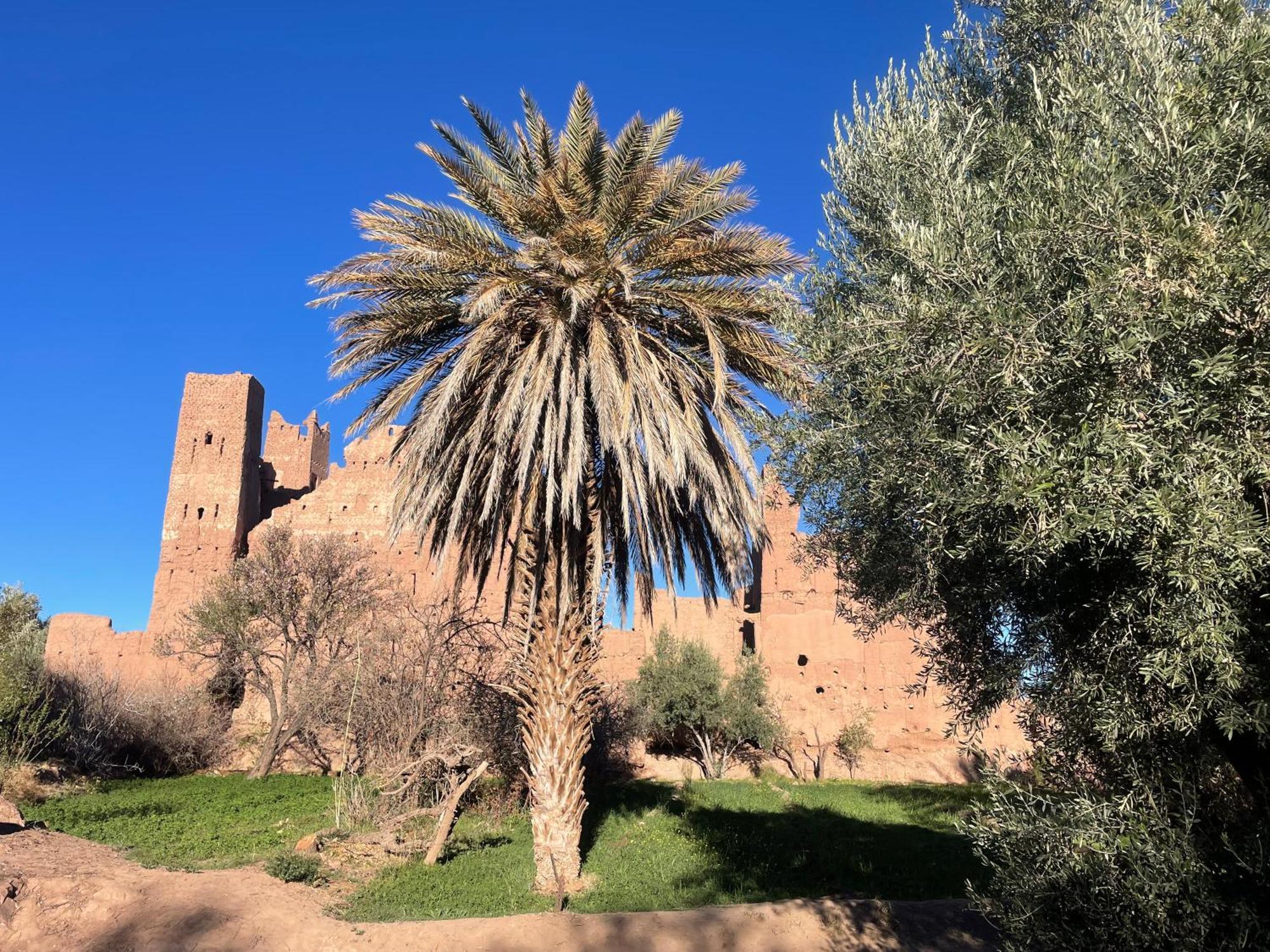 Maroc Des Merveilles - Chez L'Habitant Kelaat-M'Gouna Екстериор снимка
